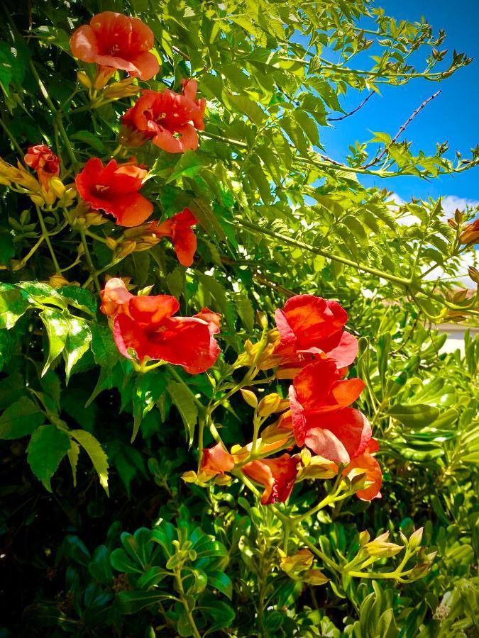 Villa Hylas Luxury Bed&Breakfast Kilada Exterior foto
